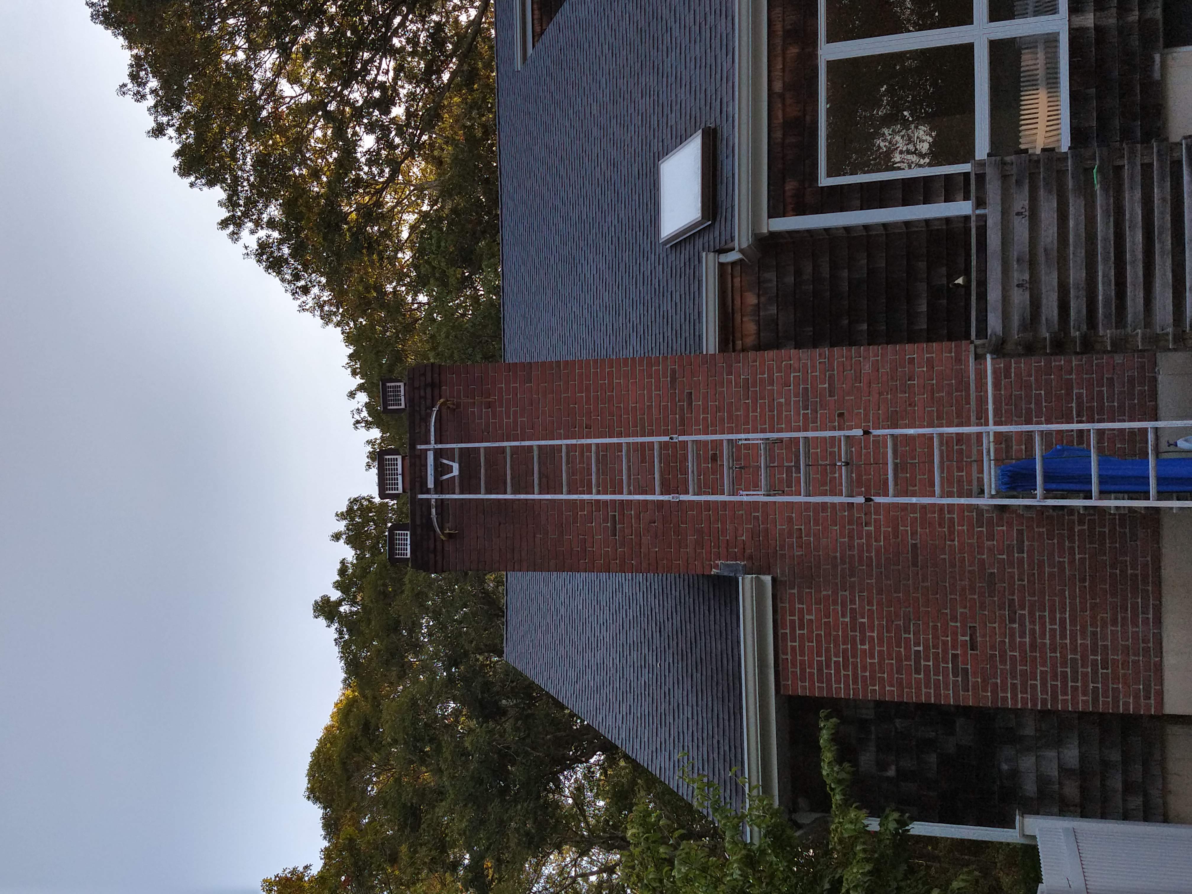 A VIEW INSIDE A CHIMNEY SHOWING A BLOCKAGE OF LEAVES AND DEBRIS IN MONTAUK